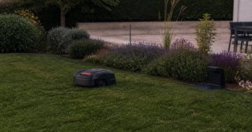 Mähroboter fährt über den Rasen im Garten
