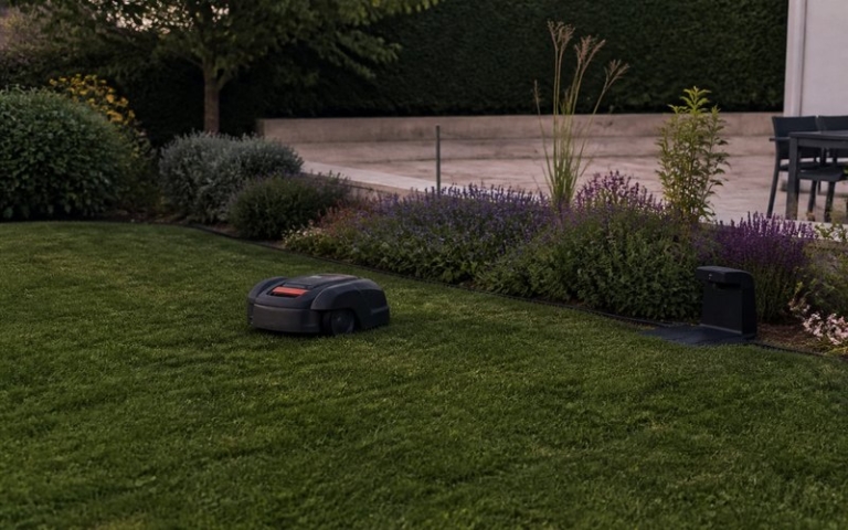 Mähroboter fährt über den Rasen im Garten