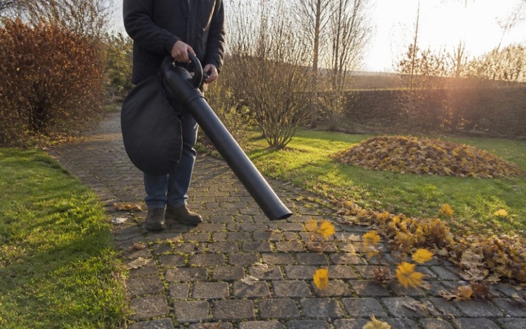 Laubsauger saugt Herbstlaub vom Gartenweg